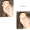 ボディピアス12G14G16G18Gネジ式ハートボールパーツカスタマイズキャッチボディーピアス軟骨ピアスピアス「BP」「CUS」|ラブレットトラガスレディースおしゃれかわいい14ゲージピアスキャッチボディピバーベル16ゲージ軟骨用12ゲージ18ゲージ