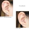 ボディピアス14G16G18Gパールキャッチ|ボールパーツネジ式ボディーピアスシンプル軟骨ピアスピアスおしゃれヘソピへそピへそピアスヘソピアス凛14ゲージ16ゲージ18ゲージ結婚式レディースホワイトピアスキャッチボディピ軟骨用パールキャッチ