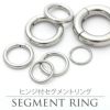 ボディピアス2Gセグメントリング/ワンタッチサージカルステンレスシルバーシンプルボディピアスボディーピアス軟骨ピアス軟骨ピアス軟骨用セグメントリング「BP」