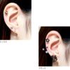 ジュエルフラワーキャッチ＋シルバーストレートバーベルのセットボディピアス花軟骨ピアス14G16G18Gサージカルステンレス耳たぶへリックス「BP」「NAN」「SA」