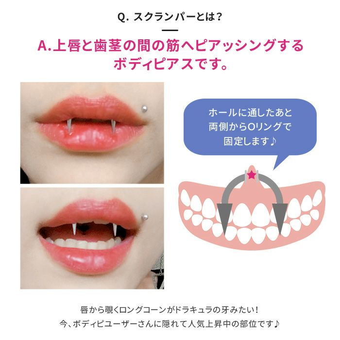 軟骨ピアス 14G かわいい 16G スクランパー ボディピアス キバ牙 コーン ドラキュラ ヴァンパイア 14ゲージ 16ゲージ ピアス  サージカルステンレス 口ピアス