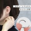 14G16G18Gワンタッチセグメントリングつけっぱなし軟骨ピアスボディピアスジュエルクリッカーリングピアス軟骨片耳用 PVDコーティングレディース凛高見え