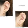 軟骨ピアス さすだけピアス キャッチレス ボール ハート 星 パール ジュエル ステンレスピアス 316L 18ゲージ くるっと 簡単 おしゃれ 回すだけ 片耳用 PVDコーティング