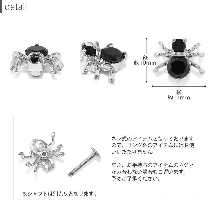 大き目蜘蛛キャッチサイズ
