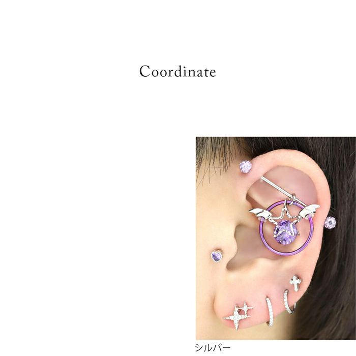 ダブルキラキラスターピアス｜ボディピアス凛【公式】