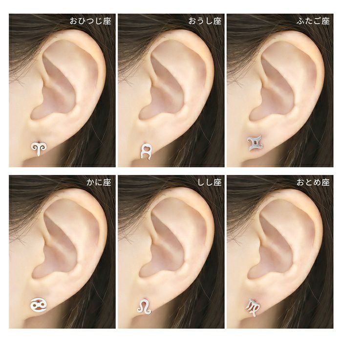 16G 軟骨ピアス 星 12星座 星座 zodiac sign サージカル