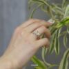 指輪レディースリング蝶バタフライリングほそみかわいいオープンリングフォークリングアクセサリー