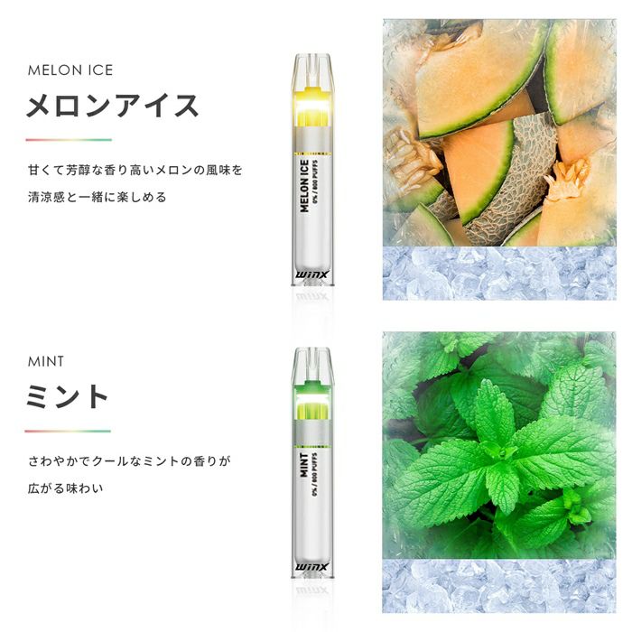 どこでもシーシャのアイスフレーバー2