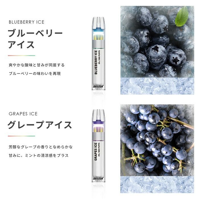 電子タバコシーシャ使い捨てミントフレーバー一体型持ち運びタール0ニコチン0水蒸気WINX箱入り６フレーバーセット