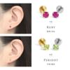 ピアス 天然石 誕生石 金属アレルギー アメジスト タンザナイト ルビー スタッド アクセサリー
